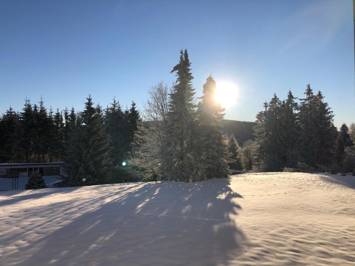 Bocksbergglueck In Hahnenklee, Endreinigung, Bezogene Betten, Handtuecher Inklusive Lägenhet Goslar Exteriör bild