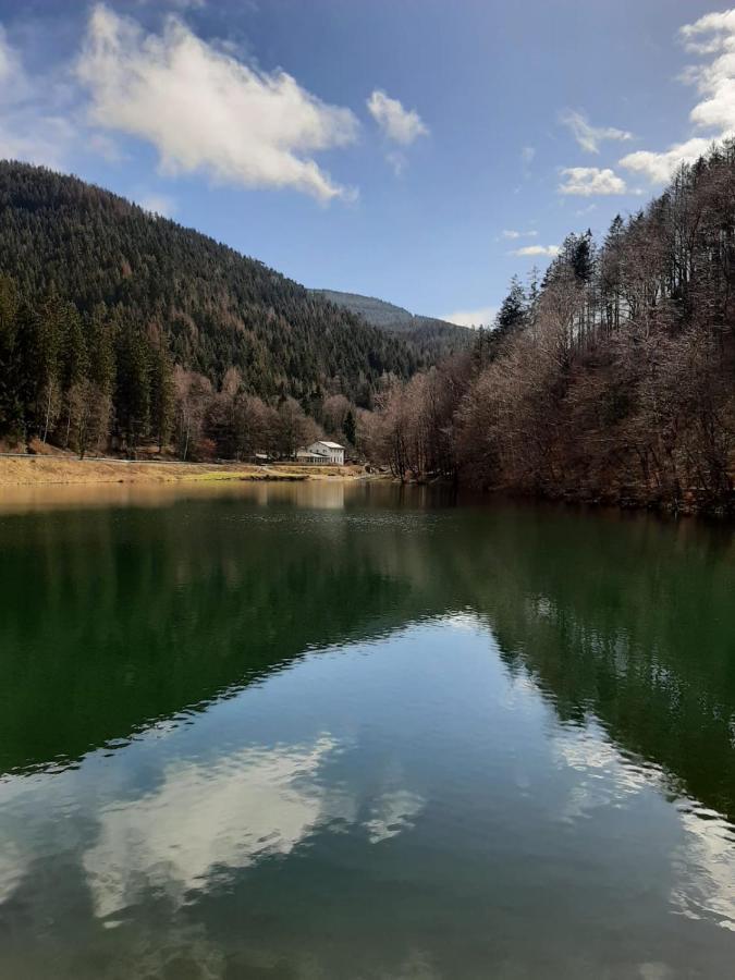 Bocksbergglueck In Hahnenklee, Endreinigung, Bezogene Betten, Handtuecher Inklusive Goslar Exteriör bild