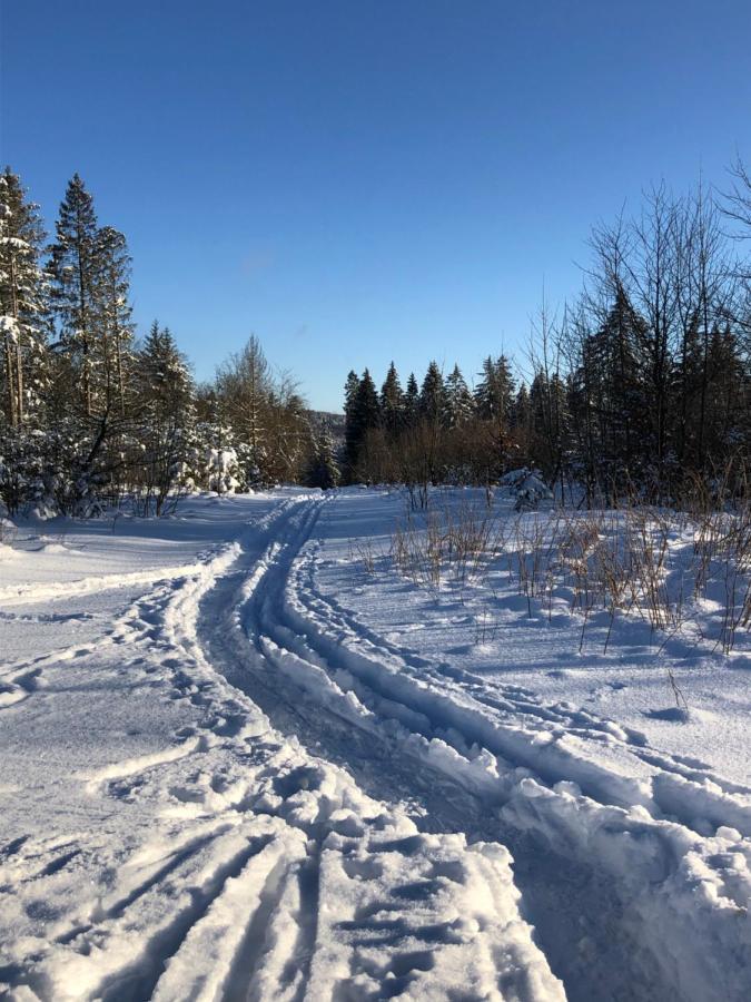 Bocksbergglueck In Hahnenklee, Endreinigung, Bezogene Betten, Handtuecher Inklusive Goslar Exteriör bild